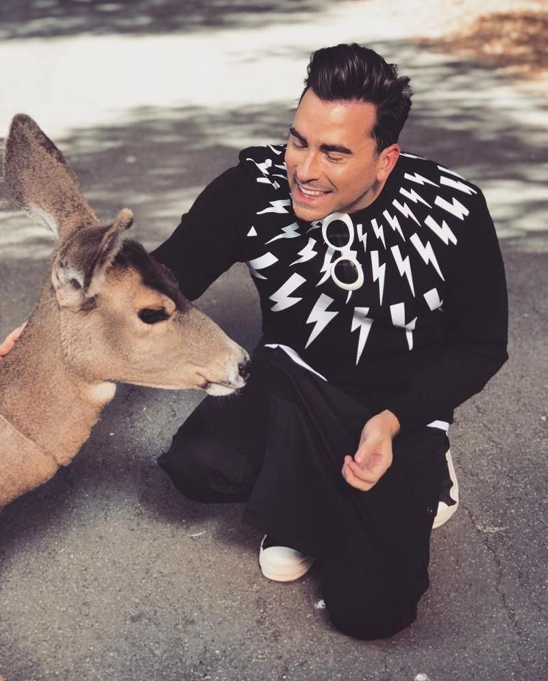 10 Cute Pics of Dan Levy That Prove Why We Love Him