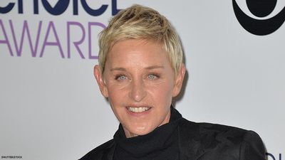 Ellen DeGeneres Was a Lesbian Hero â€” But Who Is She Now?