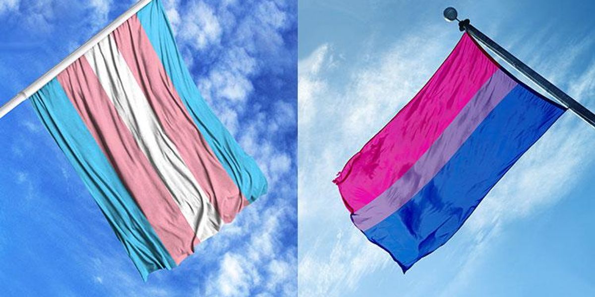 Que Es Bisexuales Y Trans