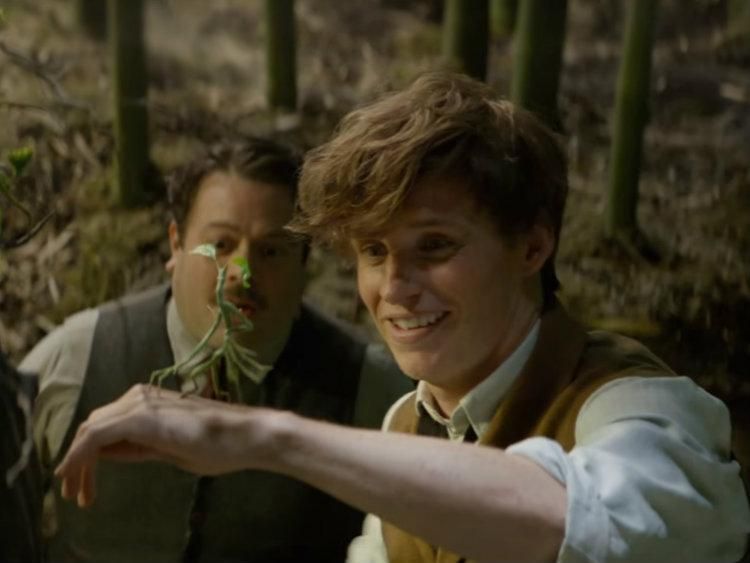 The Final ‘Fantastic Beasts’ Trailer Is Here