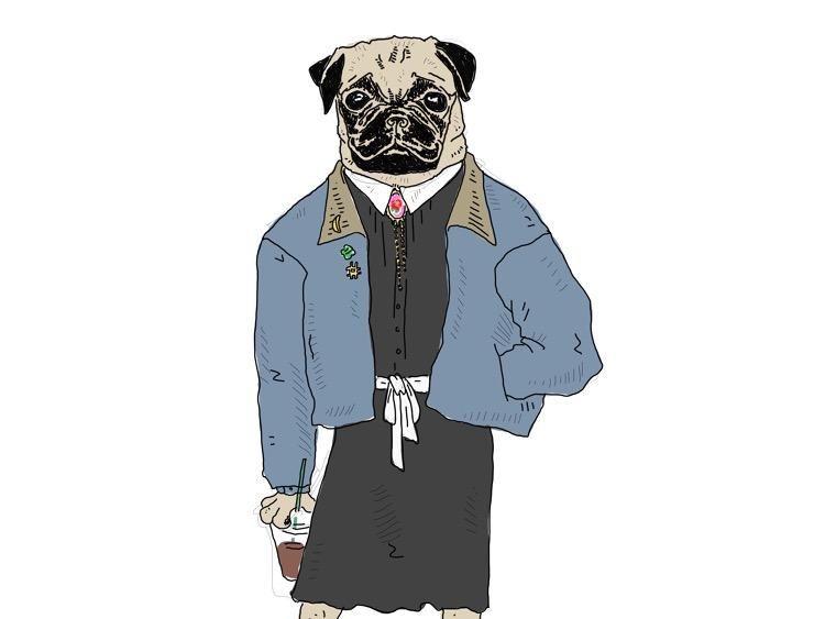 Steal This Look: The Queer Brooklyn Pug