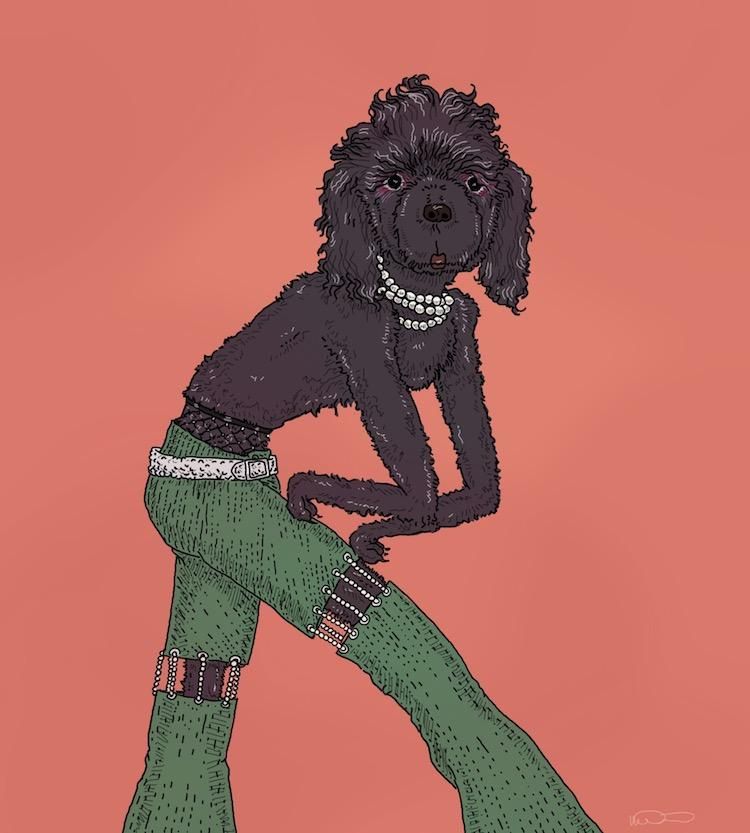 fashion poodle