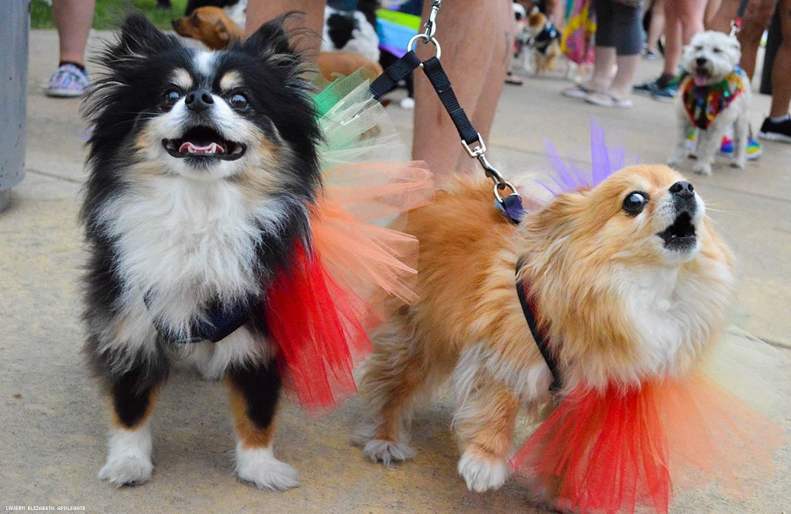 62 Photos of Capital Pride in Des Moines That Put On the Dog